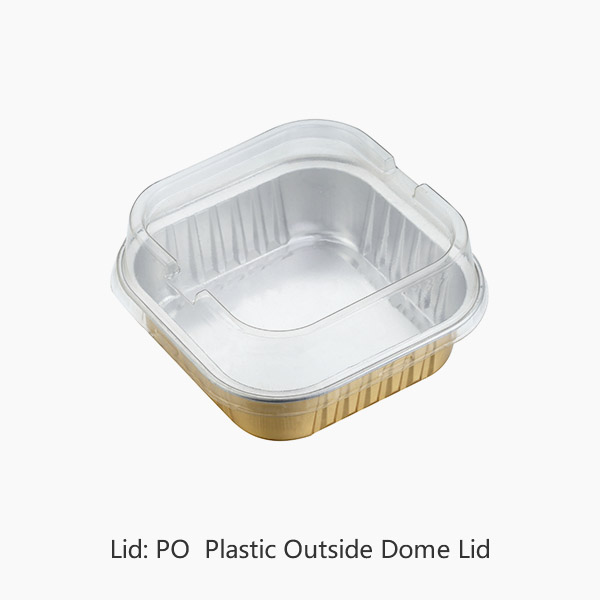 CSQ100-PO